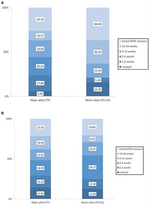 Potential Prognostic Impact of Dopamine Receptor D1 (rs4532) Polymorphism in Post-stroke Outcome in the Elderly